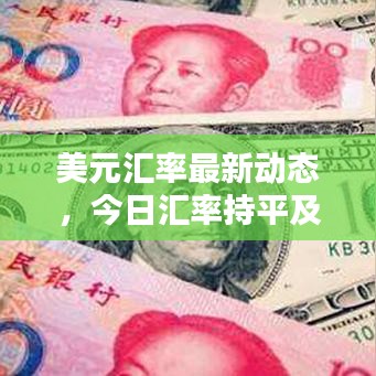美元汇率最新动态,今日汇率持平及价格分析