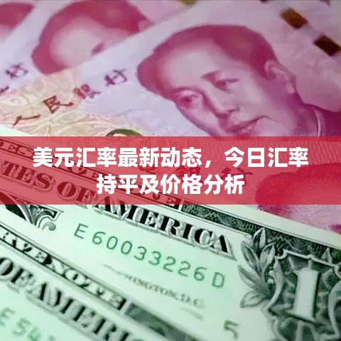 美元汇率最新动态,今日汇率持平及价格分析