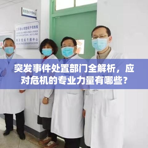 突发事件处置部门全解析，应对危机的专业力量有哪些？