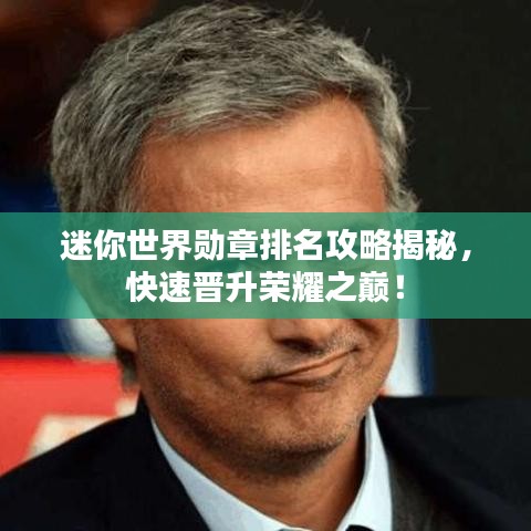 迷你世界勋章排名攻略揭秘,快速晋升荣耀之巅!