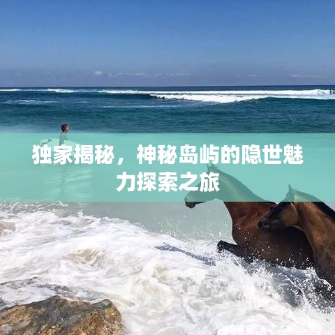 独家揭秘,神秘岛屿的隐世魅力探索之旅