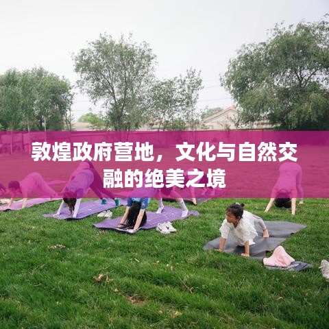 敦煌政府营地,文化与自然交融的绝美之境