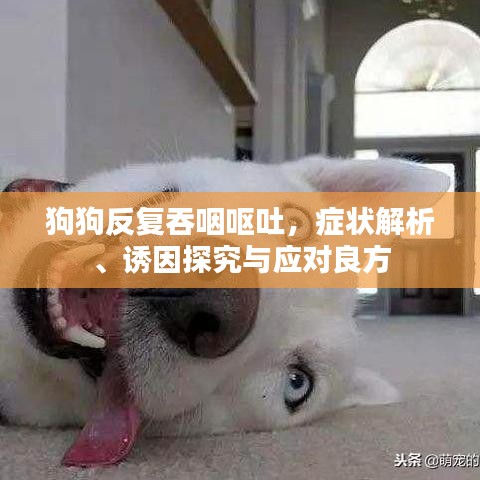 手机qq2015最新版官方下载或6月公测手游,实地验证分析|Ultra_v4.656