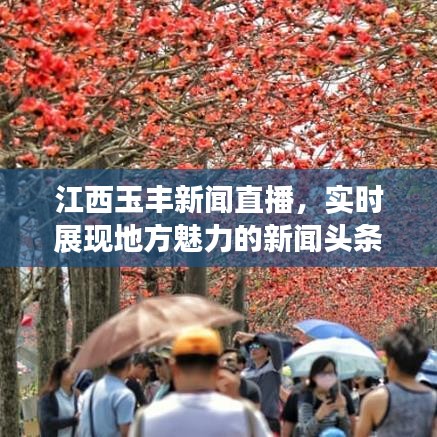 江西玉丰新闻直播，实时展现地方魅力的新闻头条