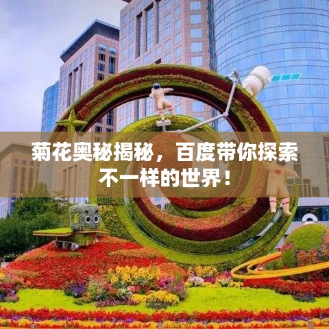 菊花奥秘揭秘,百度带你探索不一样的世界!