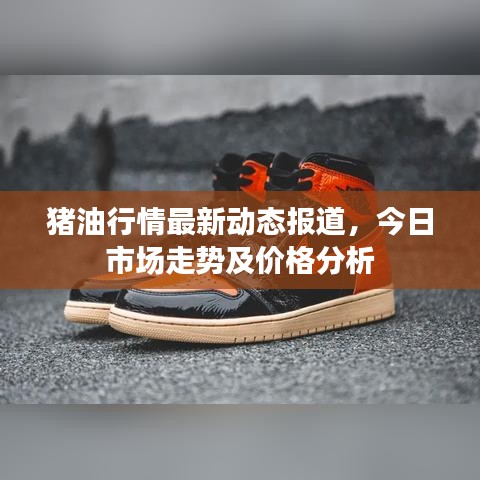 猪油行情最新动态报道，今日市场走势及价格分析