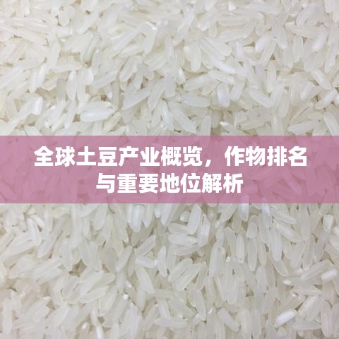 全球土豆产业概览,作物排名与重要地位解析