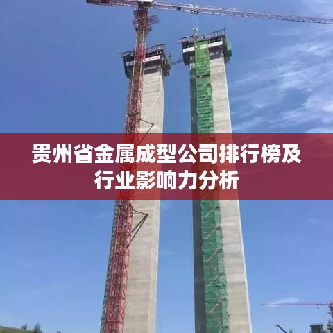 贵州省金属成型公司排行榜及行业影响力分析