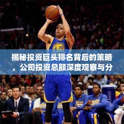 揭秘投资巨头排名背后的策略，公司投资总额深度观察与分析