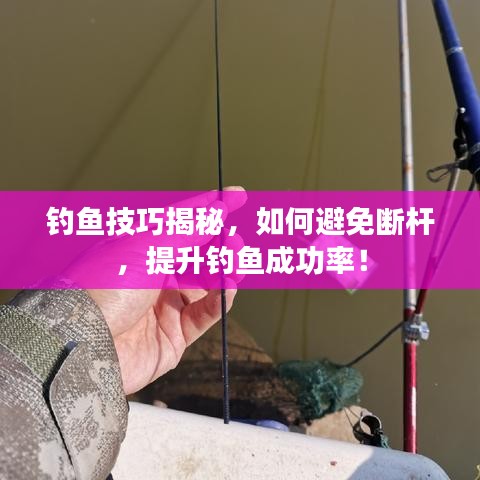 钓鱼技巧揭秘,如何避免断杆,提升钓鱼成功率!
