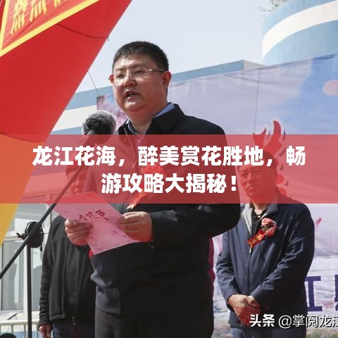 龙江花海,醉美赏花胜地,畅游攻略大揭秘!