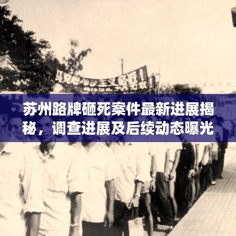 苏州路牌砸死案件最新进展揭秘，调查进展及后续动态曝光