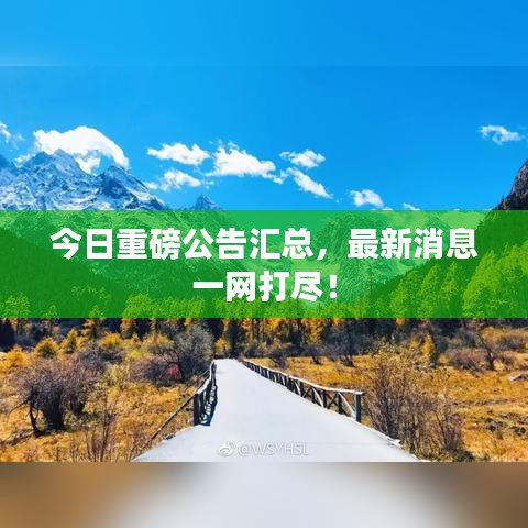 今日重磅公告汇总，最新消息一网打尽！