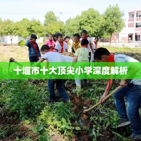 十堰市十大顶尖小学深度解析