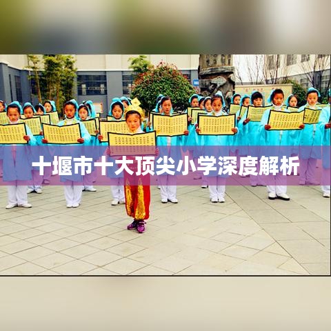 十堰市十大顶尖小学深度解析