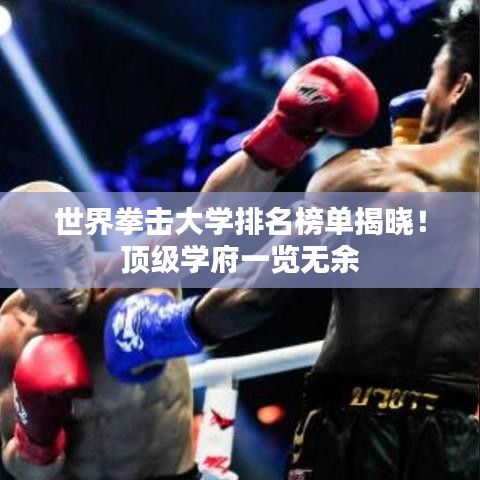 世界拳击大学排名榜单揭晓！顶级学府一览无余