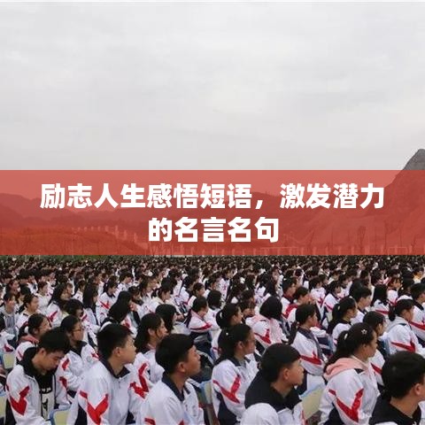 励志人生感悟短语，激发潜力的名言名句