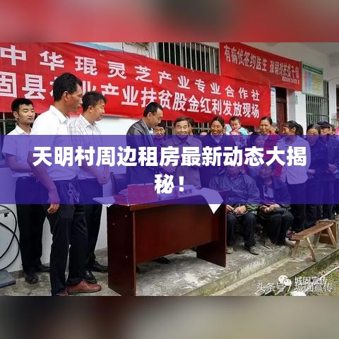 天明村周边租房最新动态大揭秘!