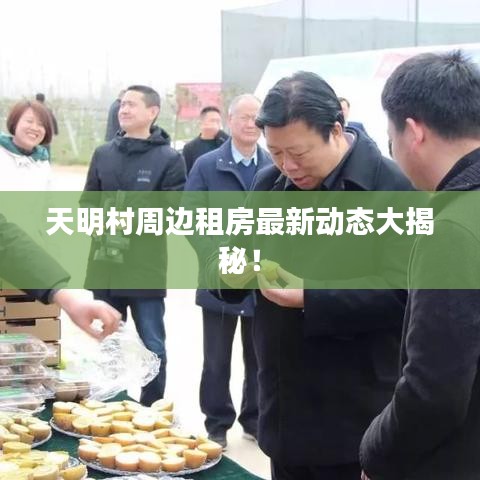 天明村周边租房最新动态大揭秘!