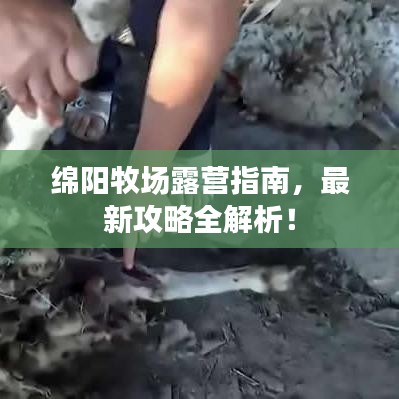 绵阳牧场露营指南，最新攻略全解析！