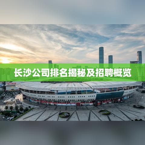 长沙公司排名揭秘及招聘概览