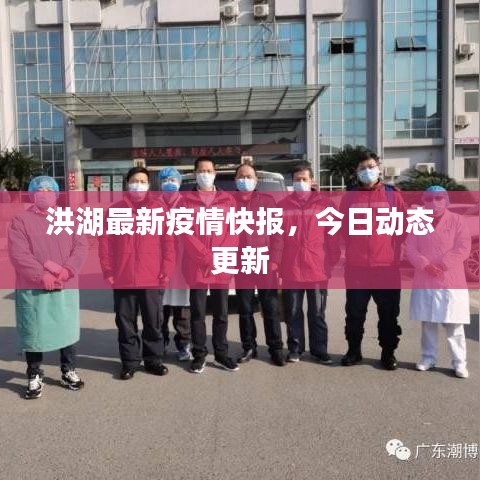 洪湖最新疫情快报，今日动态更新