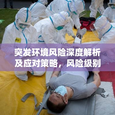 突发环境风险深度解析及应对策略，风险级别与应对措施探讨