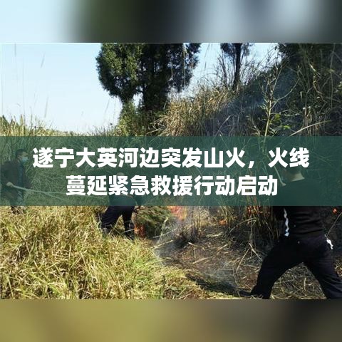 遂宁大英河边突发山火，火线蔓延紧急救援行动启动