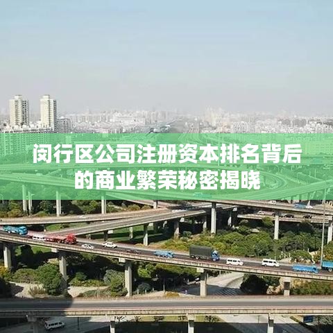 闵行区公司注册资本排名背后的商业繁荣秘密揭晓
