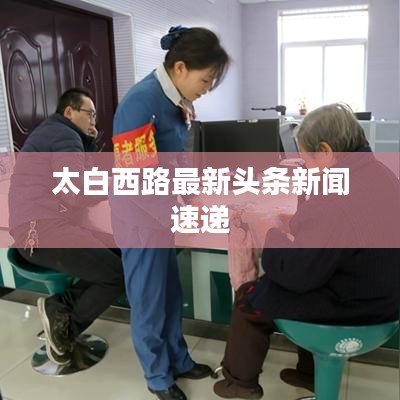 太白西路最新头条新闻速递
