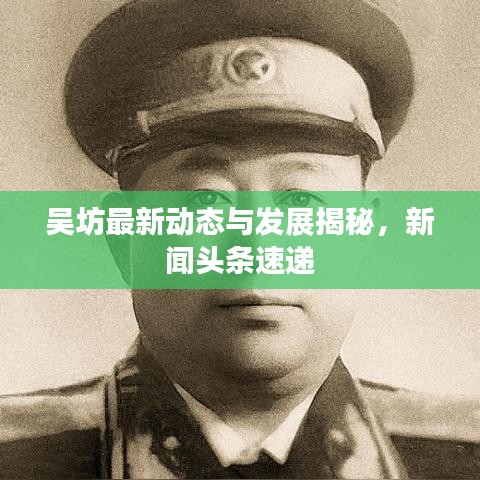 吴坊最新动态与发展揭秘，新闻头条速递