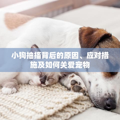 东成西就 第6页