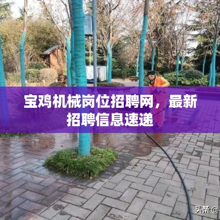 宝鸡机械岗位招聘网，最新招聘信息速递