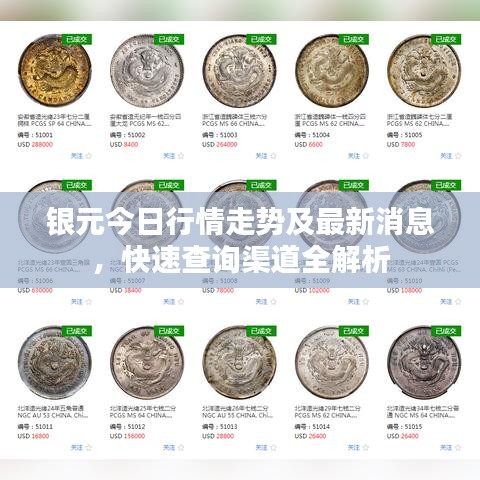 银元今日行情走势及最新消息，快速查询渠道全解析