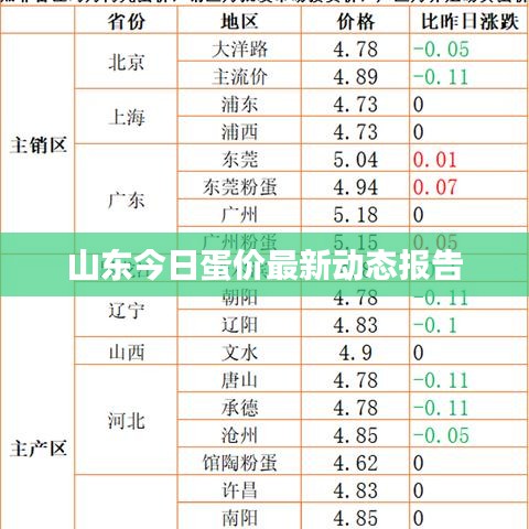 山东今日蛋价最新动态报告
