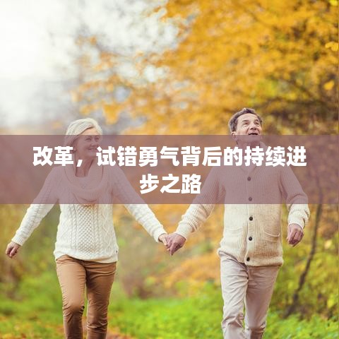 改革，试错勇气背后的持续进步之路