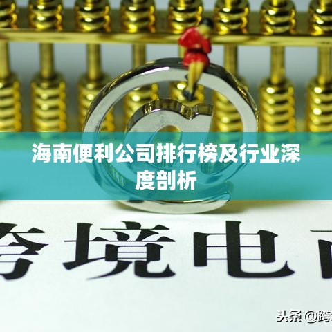 海南便利公司排行榜及行业深度剖析