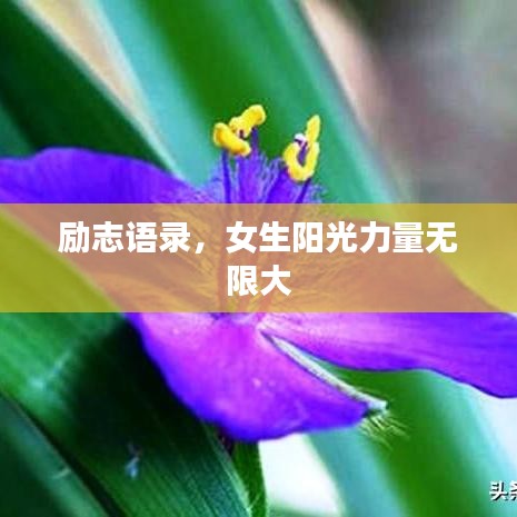 励志语录，女生阳光力量无限大