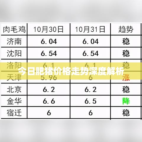 娇小玲珑 第5页