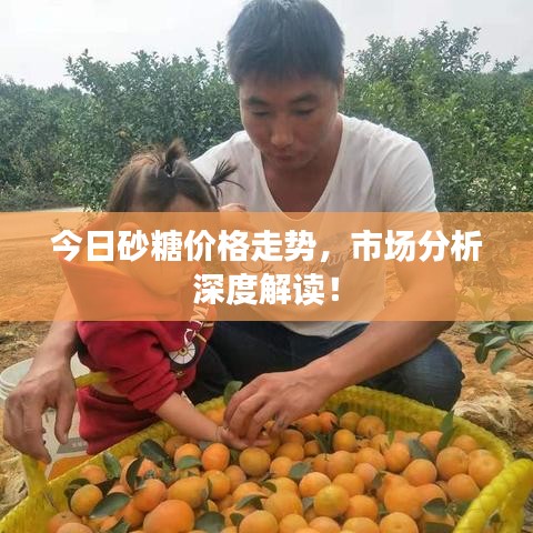 今日砂糖价格走势，市场分析深度解读！