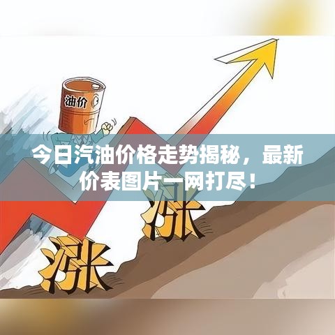 今日汽油价格走势揭秘,最新价表图片一网打尽!