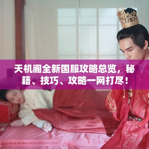 天机阁全新国服攻略总览，秘籍、技巧、攻略一网打尽！