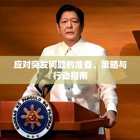 应对突发问题的准备、策略与行动指南