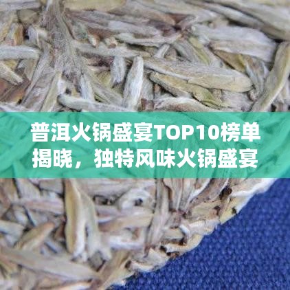 普洱火锅盛宴TOP10榜单揭晓,独特风味火锅盛宴不容错过