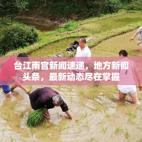 台江南宫新闻速递,地方新闻头条,最新动态尽在掌握
