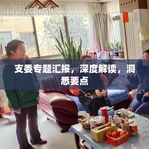 支委专题汇报，深度解读，洞悉要点