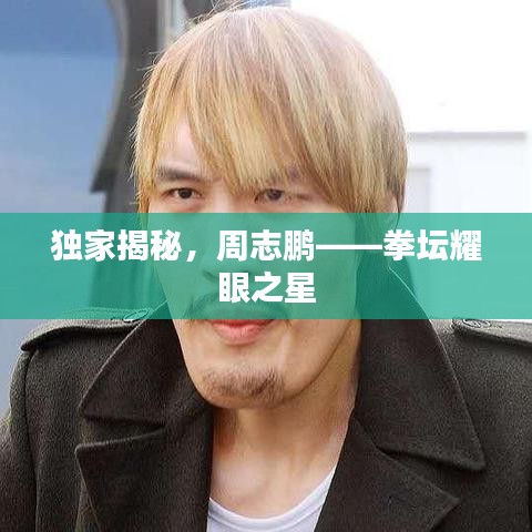 独家揭秘，周志鹏——拳坛耀眼之星