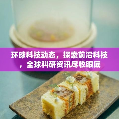 环球科技动态,探索前沿科技,全球科研资讯尽收眼底