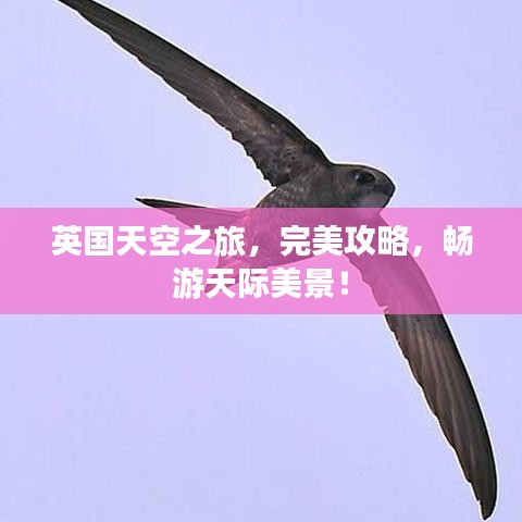 英国天空之旅，完美攻略，畅游天际美景！