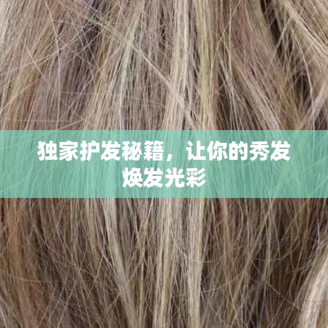 独家护发秘籍，让你的秀发焕发光彩